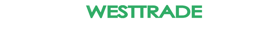 fitsense-footer-logo